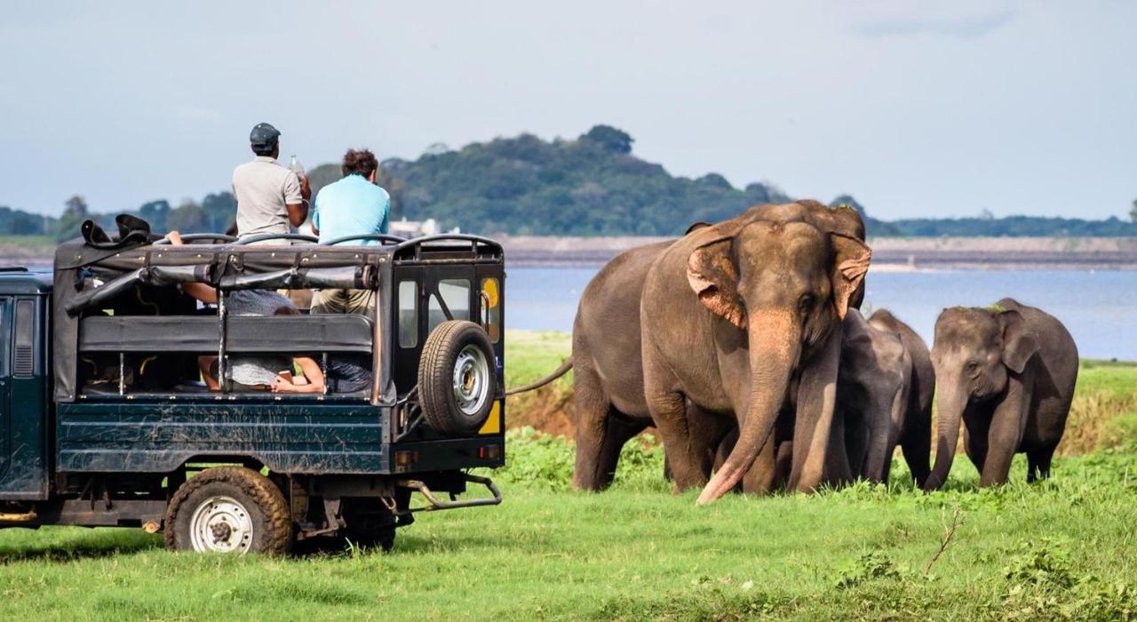 Dinesh Safari Homestay Udawalawe Eksteriør billede
